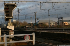 Arlon 2008