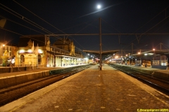 Arlon 2009