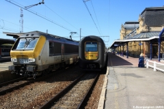 Arlon 2011