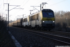 Baranzy 2008