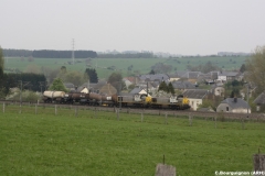 Baranzy 2011