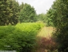 hpim0046