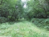 hpim0094