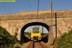 Hondelange