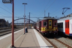 Libramont 2013