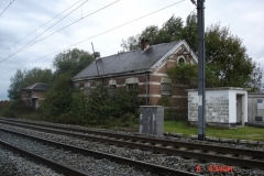 Musson 2006