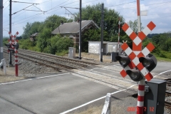 Musson 2007