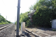 Musson 2011